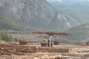 https://www.squamishreporter.com/wp-content/uploads/2015/02/wood-industry-300x200.jpg