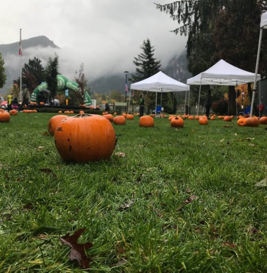 https://www.squamishreporter.com/wp-content/uploads/2018/09/Pumpkin-patch-pic-527x540.jpg