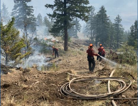 https://www.squamishreporter.com/wp-content/uploads/2021/07/wildfire.jpg