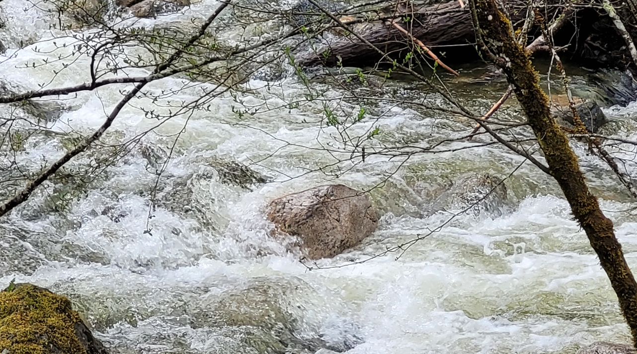 https://www.squamishreporter.com/wp-content/uploads/2023/05/river-flow.png