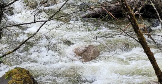 https://www.squamishreporter.com/wp-content/uploads/2024/01/raging-river-in-south-coast-540x282.jpg