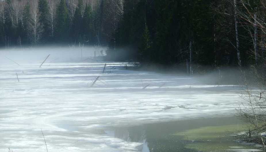 Child Dies After UTV Plunges into BC Lake