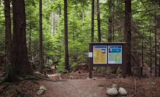 https://www.squamishreporter.com/wp-content/uploads/2024/06/Stawamus-Chief-trail-540x329.png