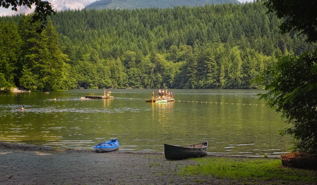 Blue-Green Algae Prompts Swimming Advisory for Alice Lake