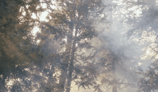 https://www.squamishreporter.com/wp-content/uploads/2024/08/forest-fire-540x316.png