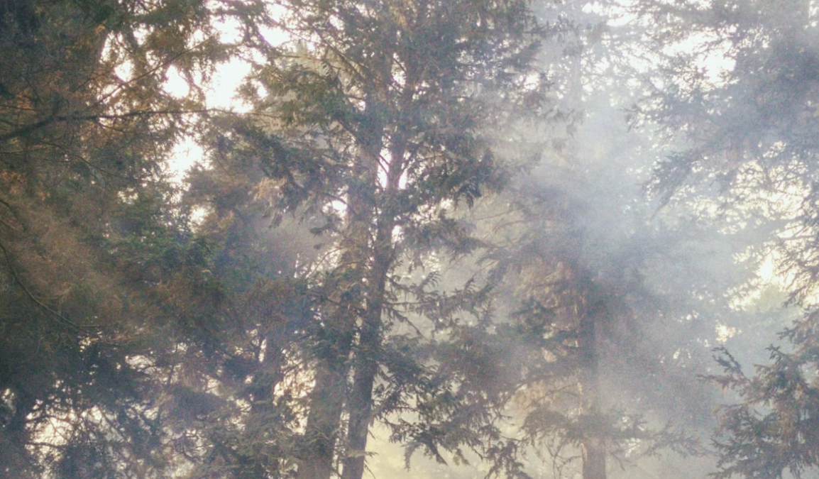 https://www.squamishreporter.com/wp-content/uploads/2024/08/forest-fire.png