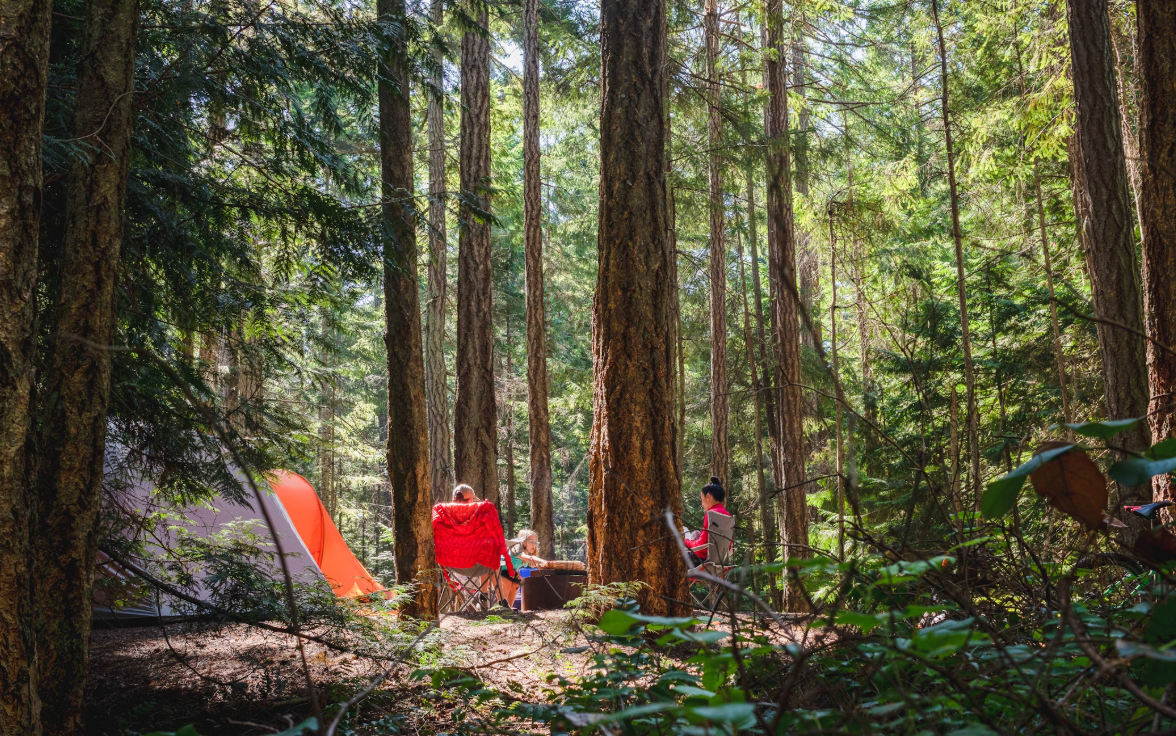 https://www.squamishreporter.com/wp-content/uploads/2025/01/camping.png